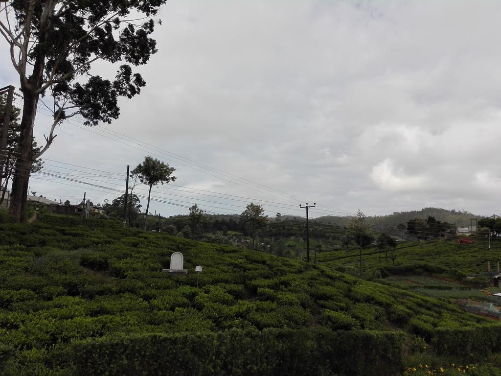 Pedro View Homestay Nuwara Eliya Exterior photo